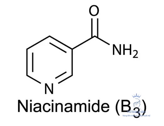 Niacinamide và Niacin đều thuộc dạng của vitamin B3
