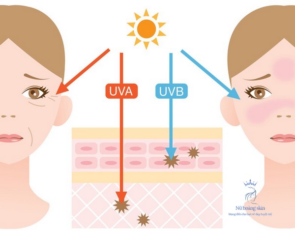 Mặt Trời tỏa ra tất cả ba loại tia cực tím: UVA, UVB và UVC