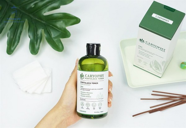 Caryophy là thương hiệu chuyên về các sản phẩm chăm sóc da mụn của Hàn Quốc